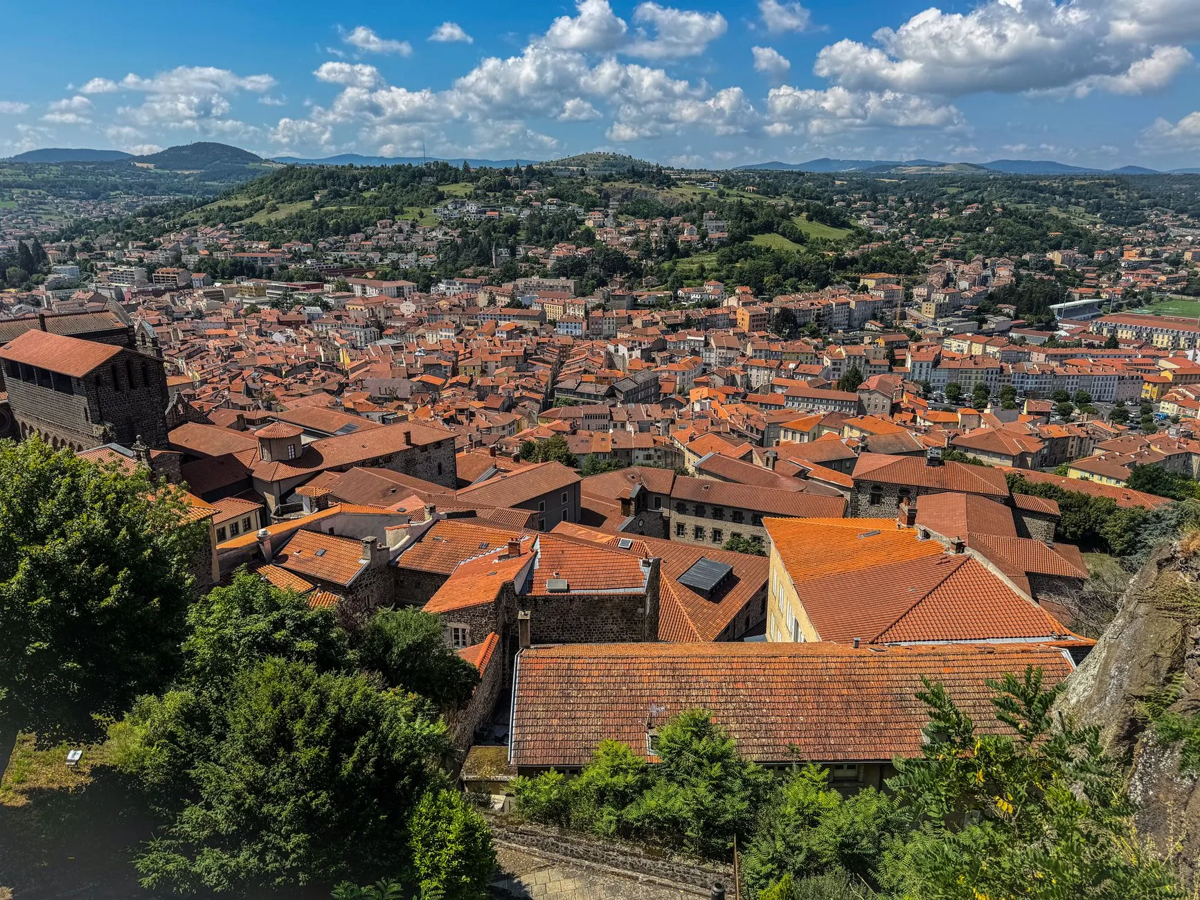 Les lentilles vertes du Puy : le petit trésor de Haute-Loire